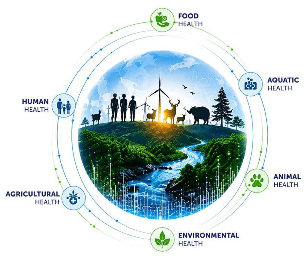 One Health ecosystem
